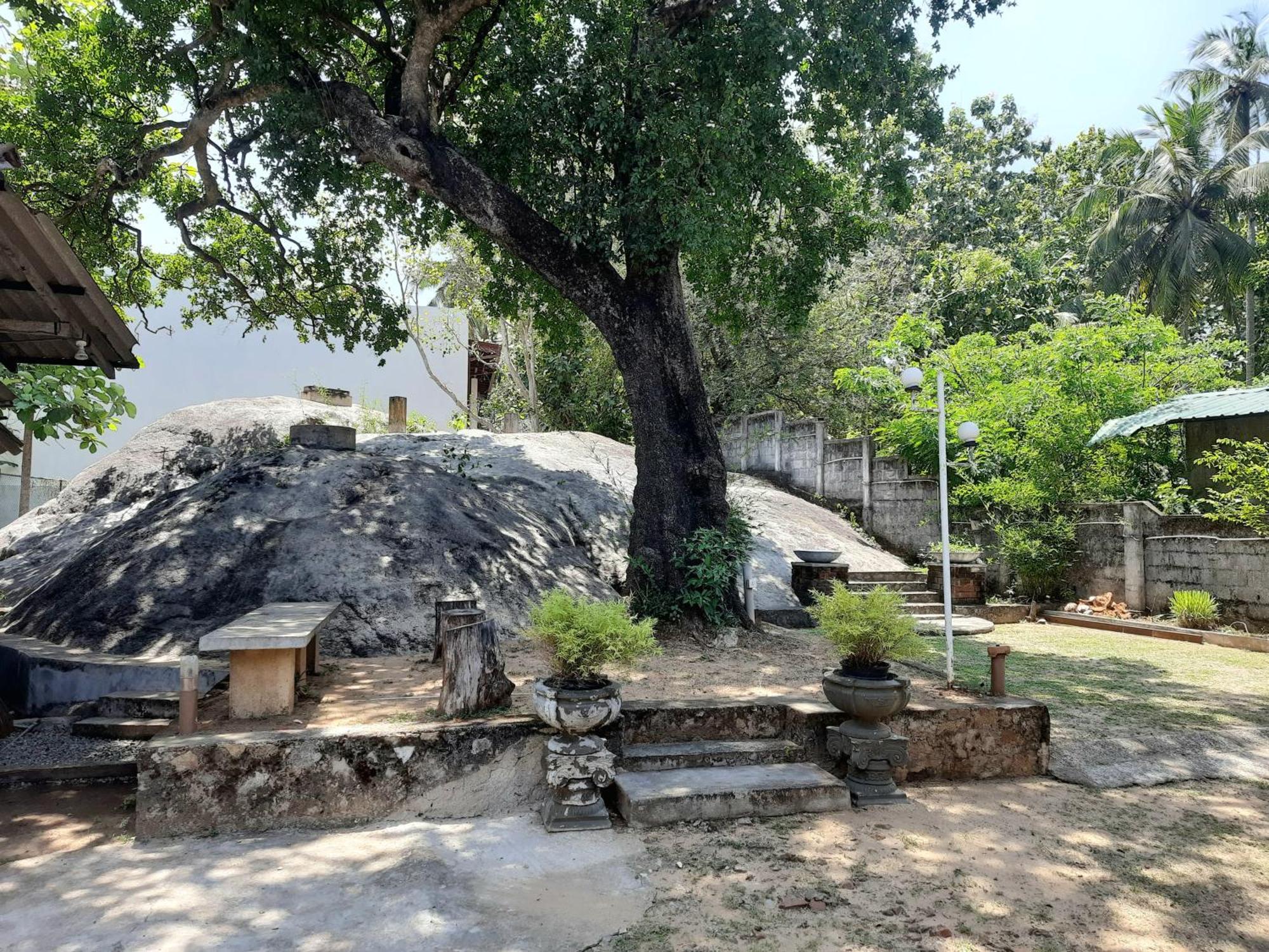 Selagala Resort Anuradhapura Kültér fotó
